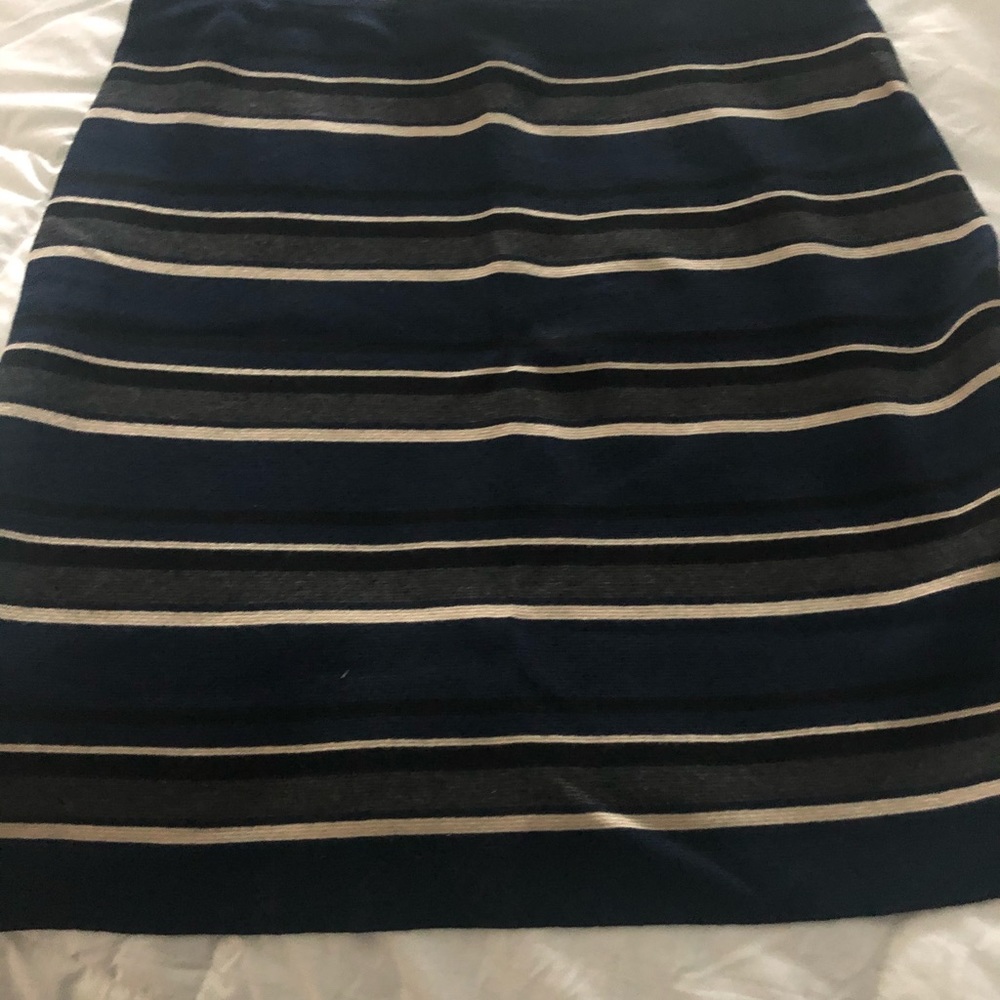 Max Studio skirt